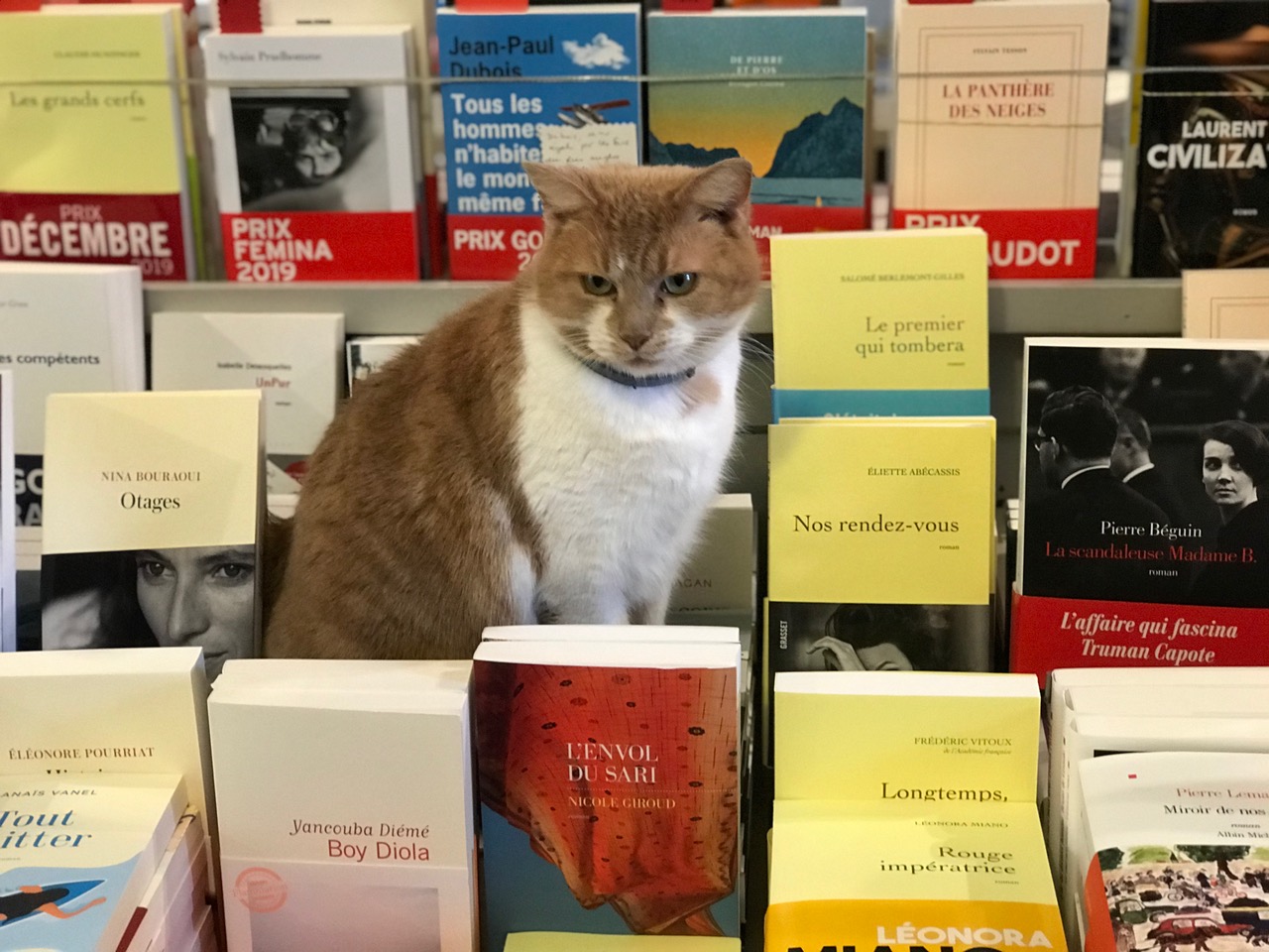 Carameldansleslivres